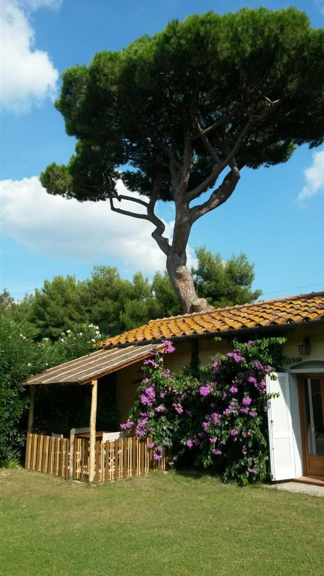 I Cavalleggeri Vila Castagneto Carducci Exterior foto